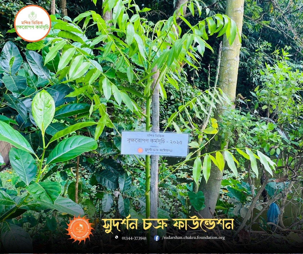 546075382_122117126924966103_730000358180367701_n